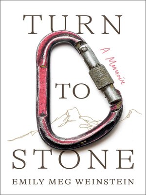 cover image of Turn to Stone